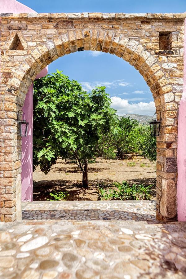 فيلا Naxos Cityفي Georgilas Cave House المظهر الخارجي الصورة