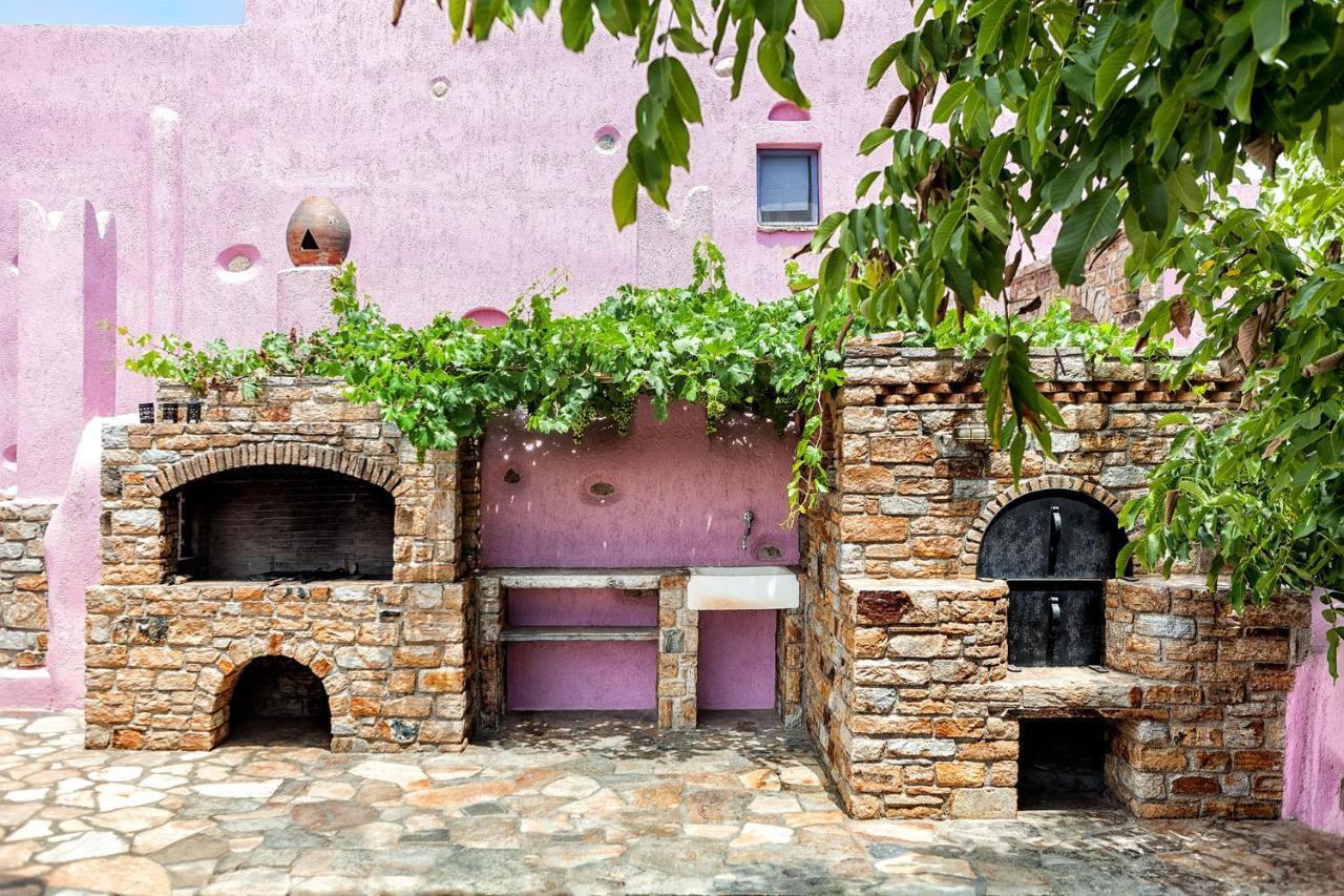 فيلا Naxos Cityفي Georgilas Cave House المظهر الخارجي الصورة